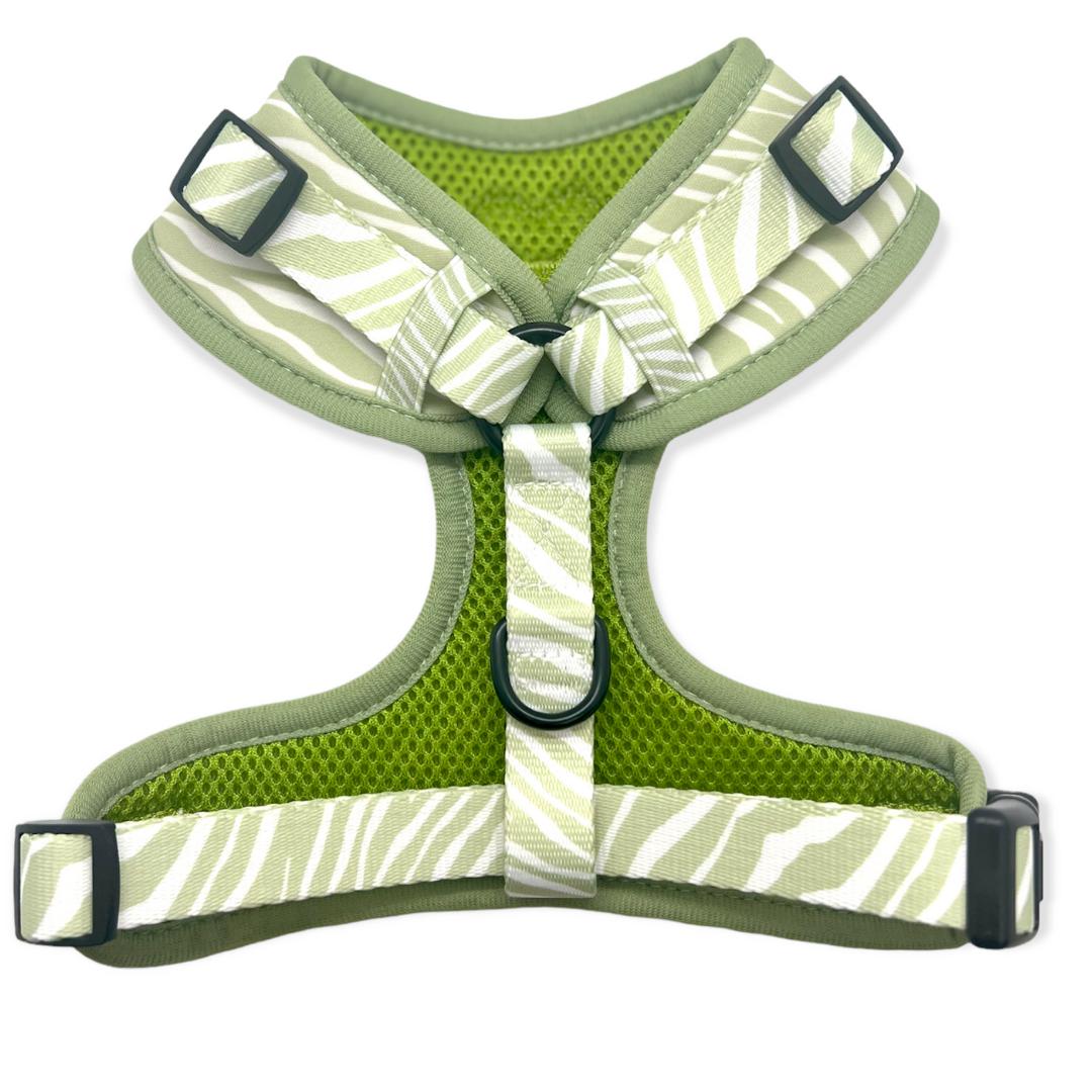 designer dog harness with green zebra stripes by pretty pup london